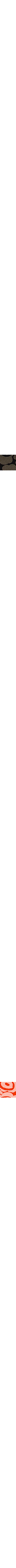Brun à motifs