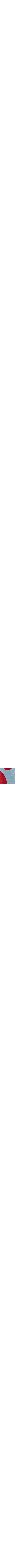 Bleu à motifs