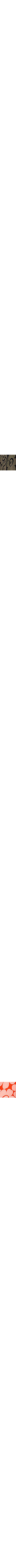 Brun à motifs