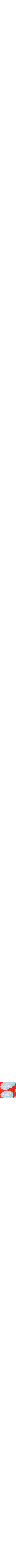 Rouge à motifs