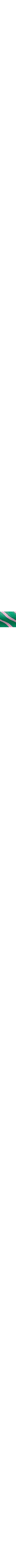 Vert à motifs