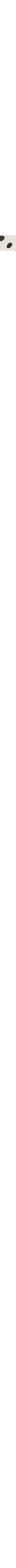 Patterned Ecru