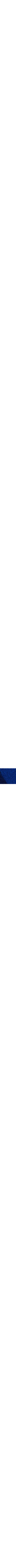 Bleu à motifs