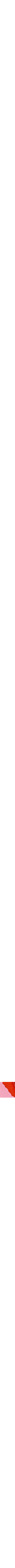 Rouge à motifs