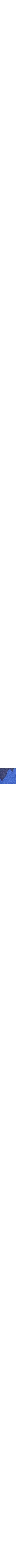 Patterned Blue