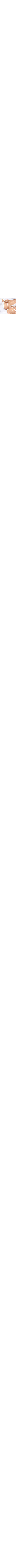 Blanc à motifs