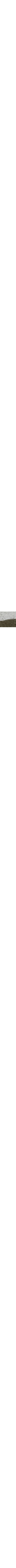 Vert à motifs
