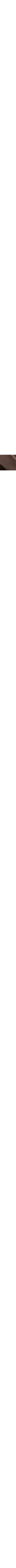 Brun à motifs