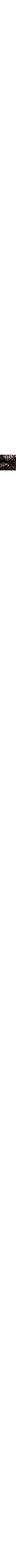 Brun à motifs