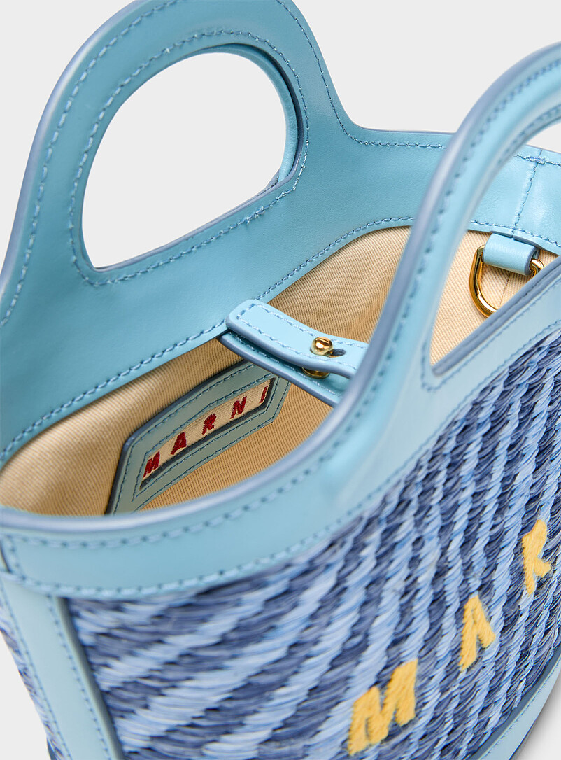 MARNI Baby Blue Tropicalia zebra stripes small bucket bag for women