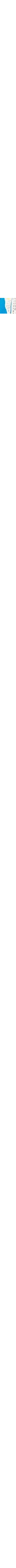 Blanc à motifs