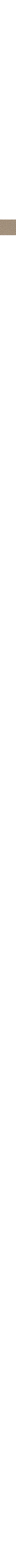 Écru - Lin