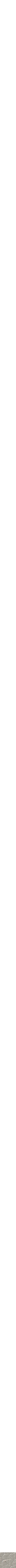 Assorti