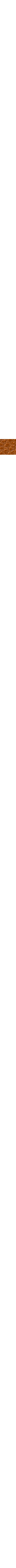 Cuivre - Rouille