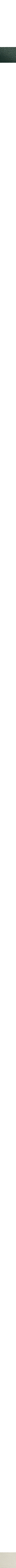 Charbon