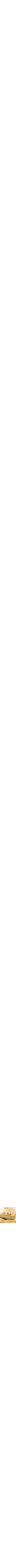 Assorti