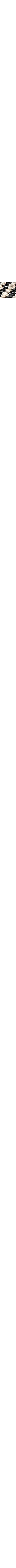 Blanc et noir