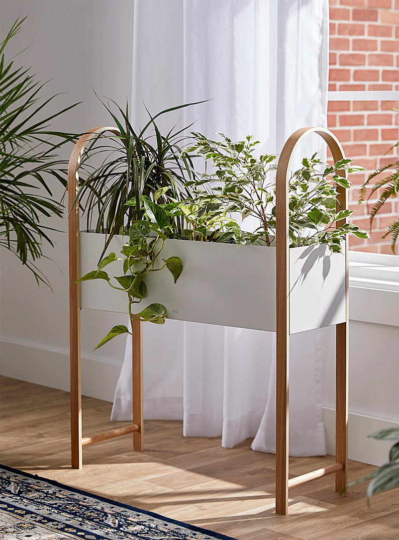 Bulb Tree Standee Sales for the Home Decor | Up to 50% off | Simons [ctry)