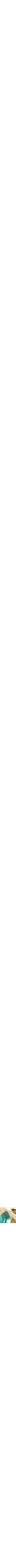 Assorti