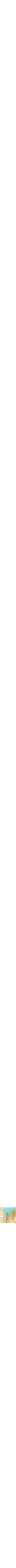 Assorti