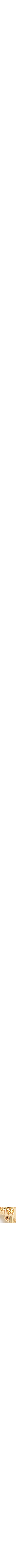 Assorti