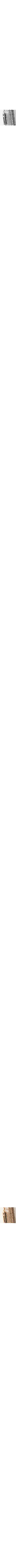 Assorti