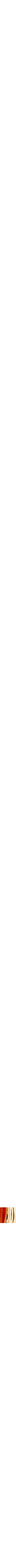Assorti