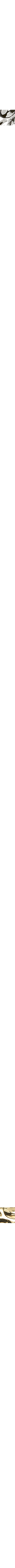 Assorti