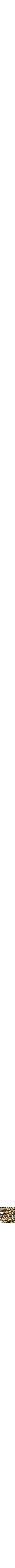 Assorti