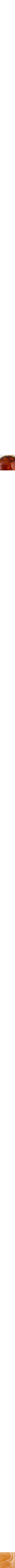 Brun à motifs