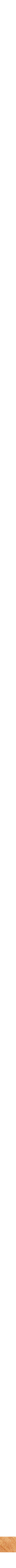 Assorti