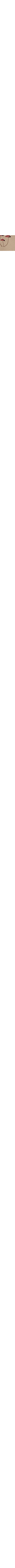 Patterned Ecru