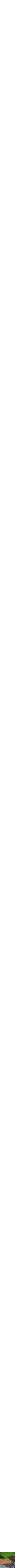 Assorti