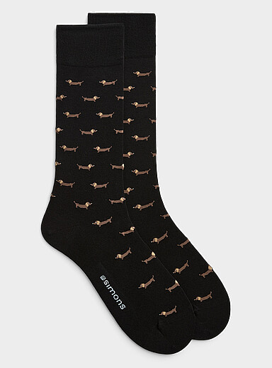 La chaussette teckels