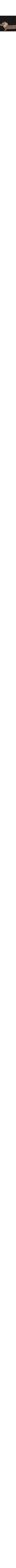 Noir à motifs