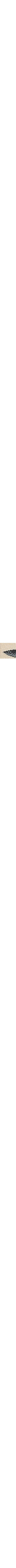 Bleu à motifs