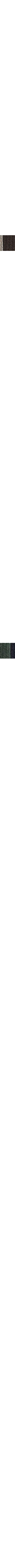 Patterned Ecru