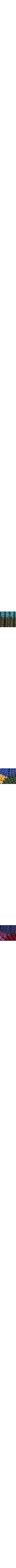 Pourpre à motifs