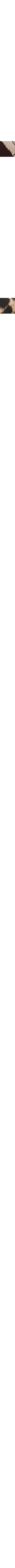 Noir à motifs