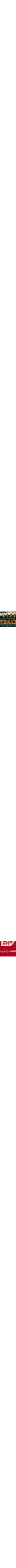Vert à motifs