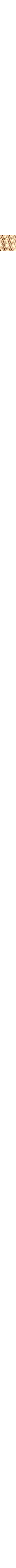 Patterned Ecru