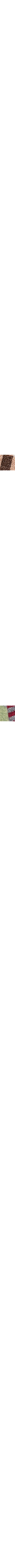 Gris à motifs