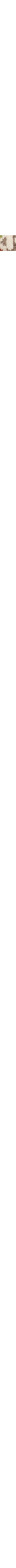 Taupe à motifs