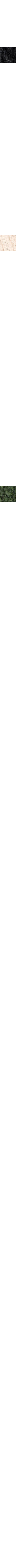 Charbon