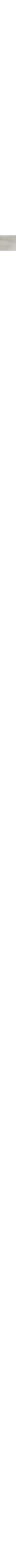Écru à motifs