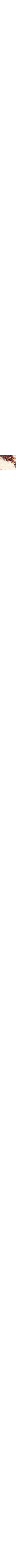 Brun à motifs
