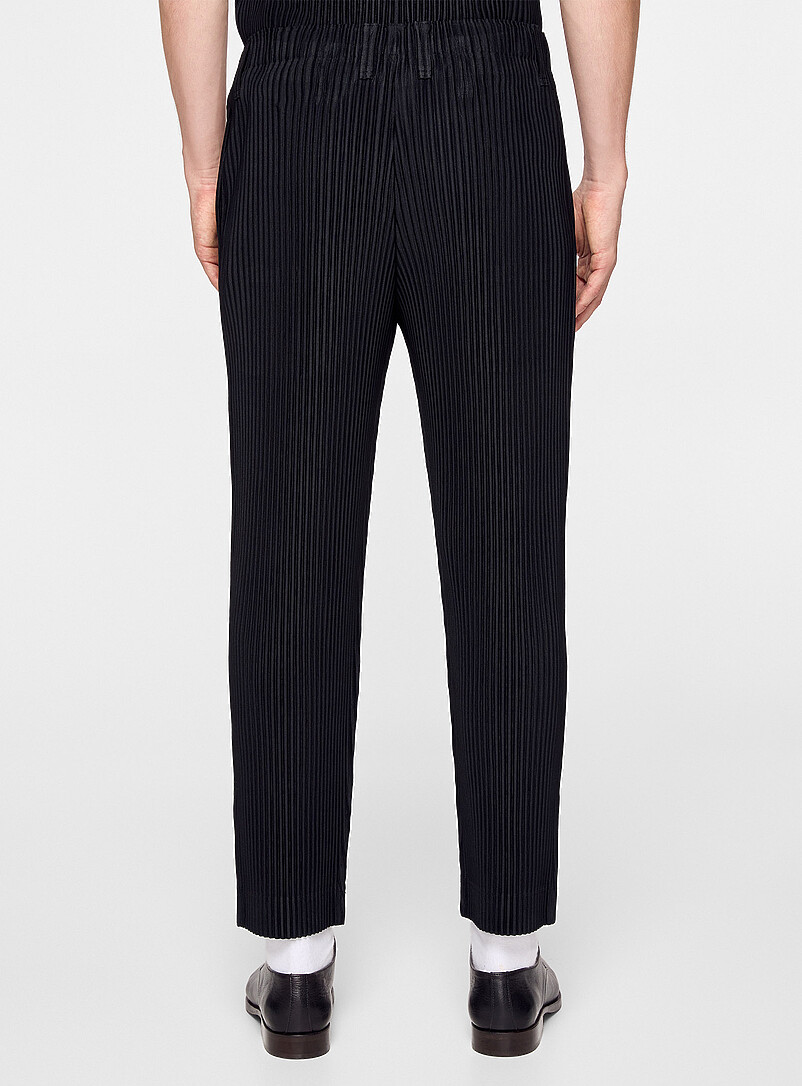 Pleated pant product image 3