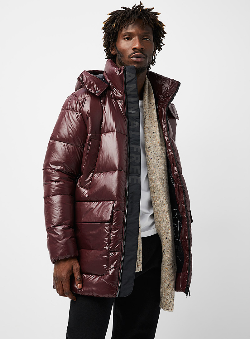 Save the Duck Ruby Red Christian shimmery puffer parka for men