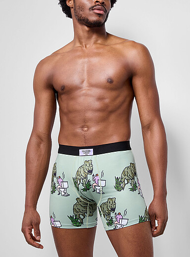 5" T-Rex and toilet boxer brief Polyester