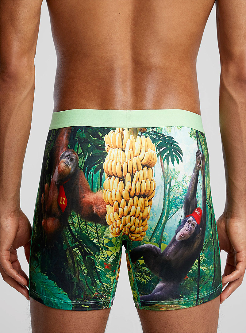 5" Kong boxer brief Polyester product image 2